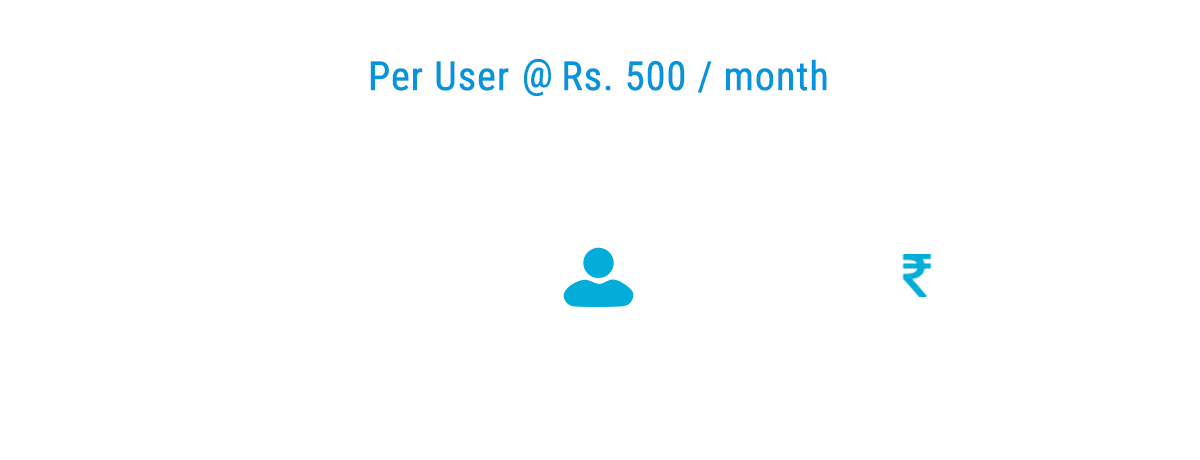 Tally ERP per user at INR 500 per month